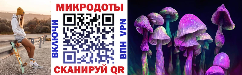 наркота  Каргополь  Псилоцибиновые грибы Psilocybine cubensis 